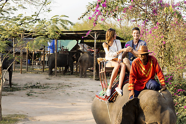 포토 JPG 주간 전신 서양인 외국인 백인 해외기획촬영 커플 여자 남자 꽃 행복 문화 여유 커플라이프 여행 코끼리 2014년태국 미소 사람 앉기 20대 성인 야외 앞모습 세명 손잡기 트래킹 체험 즐거움 코끼리트래킹 청년만 성인만 국내포토 자연요소 식물 라이프스타일 감정 뷰포인트 컨셉 포유류 관계 모션 레저 표정 인종 청년 파일형식