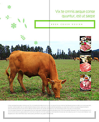 PSD 동물 템플릿 편집 접시 표지디자인 북디자인 출판디자인 내지 한식 음식 리플렛 백그라운드 2단접지 북커버 식재료 초식동물 생고기 육류 팜플렛 사람없음 요식업 가축 목장 소고기 소 이미지템플릿 식기 산업 포유류 파일형식