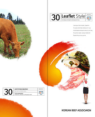 전신 PSD 외국인 동물 템플릿 편집 접시 표지디자인 북디자인 출판디자인 여자 표지 한식 음식 리플렛 백그라운드 채소 2단접지 북커버 식재료 요리사모자 생고기 육류 한명 서기 사람 손짓 팜플렛 성인 요식업 요리사 가축 소고기 소 OK 상추 여자만 여자한명만 성인여자만 성인만 이미지템플릿 직업 모자_잡화 1 식기 산업 포유류 모션 인종 파일형식