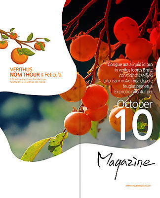 PSD 식물 템플릿 편집 표지디자인 북디자인 출판디자인 계절 표지 음식 리플렛 백그라운드 2단접지 북커버 과일 나뭇잎 감 풍경 팜플렛 사람없음 가을 나뭇가지 잡지 감나무 10월 이미지템플릿 나무 잎 간행물 날짜 파일형식