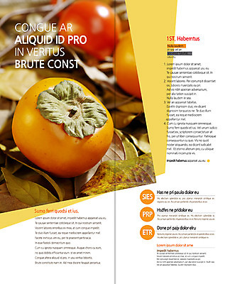 PSD 식물 템플릿 편집 표지디자인 북디자인 출판디자인 계절 내지 음식 리플렛 백그라운드 낙엽 2단접지 북커버 과일 나뭇잎 감 풍경 팜플렛 사람없음 가을 이미지템플릿 잎 파일형식