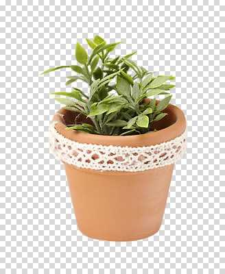식물 편집 편집이미지 화분 잎 자연 사람없음 봄 미니화분 PNG 미니사철 편집소스 계절 생태계 파일형식