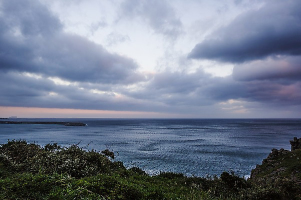 포토 JPG 주간 구름 바다 하늘 한국 풍경 사람없음 야외 제주도 풀 국내포토 자연요소 식물 아시아 파일형식