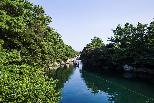 포토 JPG 주간 나무 하늘 한국 풍경 사람없음 야외 제주도 계곡 풀 선박 국내포토 자연요소 식물 아시아 수상교통 파일형식