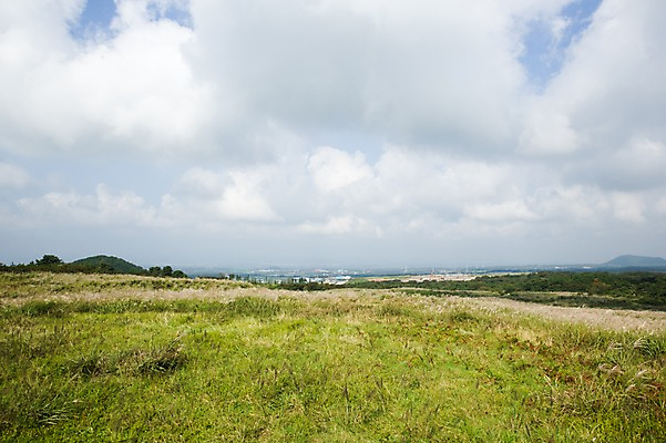 포토 JPG 주간 구름 하늘 한국 풍경 사람없음 야외 제주도 풀 언덕 국내포토 자연요소 식물 아시아 파일형식