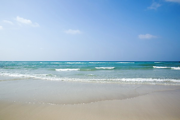 포토 JPG 주간 구름 물결 하늘 한국 풍경 해변 사람없음 야외 제주도 국내포토 자연요소 아시아 바다 파일형식