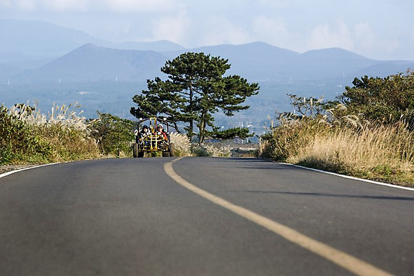 포토 JPG 주간 나무 여자 여유 여행 하늘 레저 한국 사람 동양인 20대 성인 야외 두명 앞모습 제주도 한국인 승차 즐거움 억새 고카트 여자만 성인여자만 청년만 청년여자만 성인만 국내포토 자연요소 식물 감정 아시아 뷰포인트 모션 인종 청년 파일형식