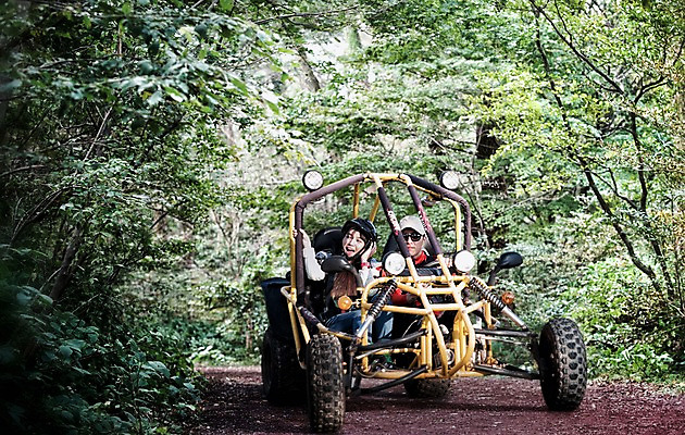 포토 JPG 주간 여자 남자 여유 여행 레저 한국 미소 사람 동양인 상반신 20대 성인 야외 두명 앞모습 제주도 한국인 승차 숲 구경 즐거움 고카트 청년만 성인만 국내포토 자연요소 감정 아시아 뷰포인트 모션 표정 인종 청년 파일형식