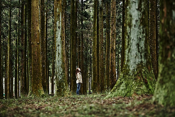 포토 JPG 주간 전신 나무 여자 여유 여행 휴식 한국 한명 서기 사람 동양인 20대 성인 야외 옆모습 제주도 트래킹 한국인 올려보기 숲 상쾌 여자만 여자한명만 성인여자만 청년만 청년여자만 성인한명만 청년여자한명만 성인여자한명만 성인만 국내포토 자연요소 식물 1 감정 아시아 뷰포인트 컨셉 모션 레저 인종 청년 파일형식