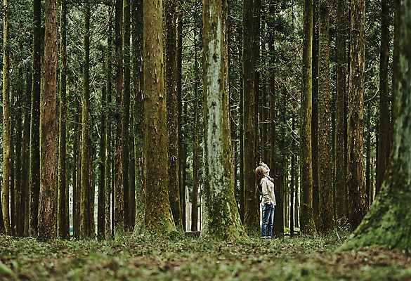 포토 JPG 주간 전신 나무 여자 여유 여행 휴식 한국 한명 서기 사람 동양인 20대 성인 야외 옆모습 제주도 트래킹 한국인 올려보기 숲 상쾌 여자만 여자한명만 성인여자만 청년만 청년여자만 성인한명만 청년여자한명만 성인여자한명만 성인만 국내포토 자연요소 식물 1 감정 아시아 뷰포인트 컨셉 모션 레저 인종 청년 파일형식