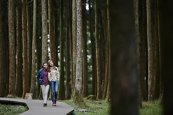 포토 JPG 주간 전신 나무 여자 길 여유 여행 휴식 한국 사람 동양인 20대 성인 야외 두명 앞모습 친구 제주도 걷기 팔짱 우정 산책 트래킹 한국인 숲 상쾌 여자만 성인여자만 청년만 청년여자만 성인만 국내포토 자연요소 식물 감정 아시아 뷰포인트 컨셉 관계 모션 레저 인종 청년 파일형식