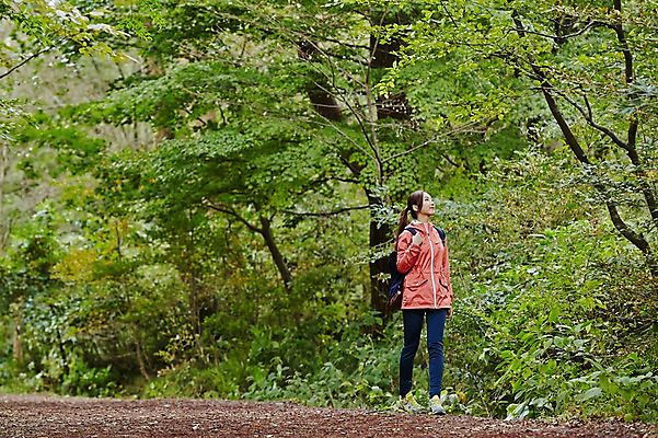 포토 JPG 주간 전신 나무 여자 여유 여행 휴식 한국 한명 서기 사람 동양인 20대 성인 야외 앞모습 제주도 트래킹 한국인 숲 상쾌 여자만 여자한명만 성인여자만 청년만 청년여자만 성인한명만 청년여자한명만 성인여자한명만 성인만 국내포토 자연요소 식물 1 감정 아시아 뷰포인트 컨셉 모션 레저 인종 청년 파일형식