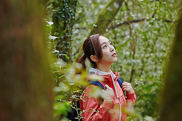 포토 JPG 주간 나무 여자 여유 여행 휴식 한국 한명 서기 사람 동양인 상반신 20대 성인 야외 옆모습 제주도 트래킹 한국인 올려보기 숲 상쾌 여자만 여자한명만 성인여자만 청년만 청년여자만 성인한명만 청년여자한명만 성인여자한명만 성인만 국내포토 자연요소 식물 1 감정 아시아 뷰포인트 컨셉 모션 레저 인종 청년 파일형식