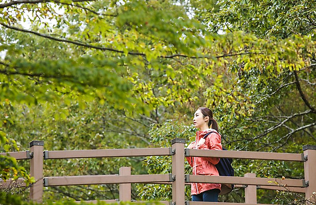 포토 JPG 주간 나무 여자 여유 여행 휴식 한국 한명 사람 동양인 상반신 20대 성인 야외 옆모습 제주도 걷기 트래킹 한국인 숲 상쾌 가교 여자만 여자한명만 성인여자만 청년만 청년여자만 성인한명만 청년여자한명만 성인여자한명만 성인만 국내포토 자연요소 식물 1 건축물 감정 아시아 뷰포인트 컨셉 모션 레저 인종 청년 파일형식