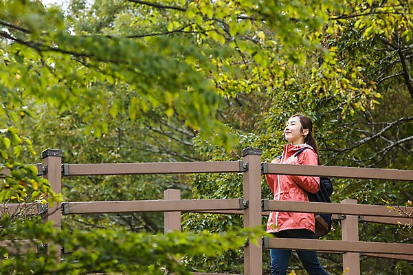 포토 JPG 주간 나무 여자 여유 여행 휴식 한국 한명 미소 사람 동양인 상반신 20대 성인 야외 옆모습 제주도 걷기 트래킹 한국인 숲 상쾌 가교 여자만 여자한명만 성인여자만 청년만 청년여자만 성인한명만 청년여자한명만 성인여자한명만 성인만 국내포토 자연요소 식물 1 건축물 감정 아시아 뷰포인트 컨셉 모션 레저 표정 인종 청년 파일형식