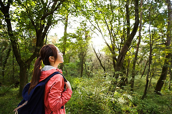 포토 JPG 주간 나무 여자 여유 여행 가방 휴식 한국 한명 서기 사람 동양인 상반신 20대 성인 야외 옆모습 햇빛 제주도 눈감음 트래킹 한국인 숲 상쾌 여자만 여자한명만 성인여자만 청년만 청년여자만 성인한명만 청년여자한명만 성인여자한명만 성인만 국내포토 자연요소 식물 1 잡화 감정 아시아 뷰포인트 컨셉 모션 레저 인종 청년 태양 파일형식