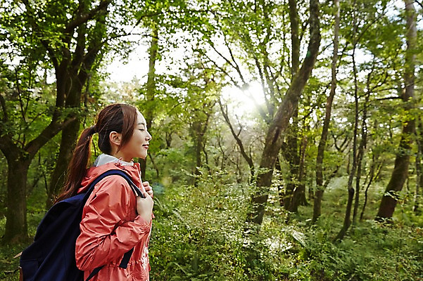 포토 JPG 주간 나무 여자 여유 여행 휴식 한국 한명 서기 미소 사람 동양인 상반신 20대 성인 야외 옆모습 햇빛 제주도 눈감음 트래킹 한국인 숲 상쾌 여자만 여자한명만 성인여자만 청년만 청년여자만 성인한명만 청년여자한명만 성인여자한명만 성인만 국내포토 자연요소 식물 1 감정 아시아 뷰포인트 컨셉 모션 레저 표정 인종 청년 태양 파일형식