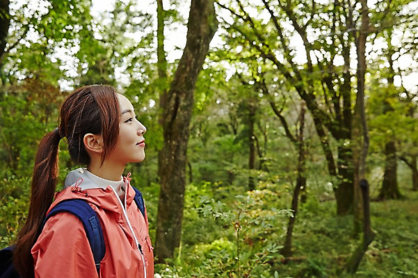 포토 JPG 주간 나무 응시 여자 여유 여행 휴식 한국 한명 서기 미소 사람 동양인 상반신 20대 성인 야외 옆모습 제주도 트래킹 한국인 숲 상쾌 여자만 여자한명만 성인여자만 청년만 청년여자만 성인한명만 청년여자한명만 성인여자한명만 성인만 국내포토 자연요소 식물 1 시선 감정 아시아 뷰포인트 컨셉 모션 레저 표정 인종 청년 파일형식