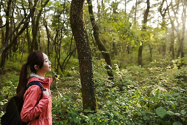 포토 JPG 주간 나무 여자 여유 여행 가방 휴식 한국 한명 서기 미소 사람 동양인 상반신 20대 성인 야외 옆모습 햇빛 제주도 눈감음 트래킹 한국인 숲 상쾌 여자만 여자한명만 성인여자만 청년만 청년여자만 성인한명만 청년여자한명만 성인여자한명만 성인만 국내포토 자연요소 식물 1 잡화 감정 아시아 뷰포인트 컨셉 모션 레저 표정 인종 청년 태양 파일형식