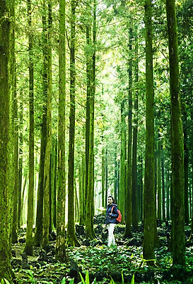 포토 JPG 주간 전신 나무 여자 여유 여행 휴식 한국 한명 서기 사람 동양인 20대 성인 야외 뒷모습 제주도 트래킹 한국인 뒤돌아보기 숲 상쾌 안식처 여자만 여자한명만 성인여자만 청년만 청년여자만 성인한명만 청년여자한명만 성인여자한명만 성인만 국내포토 자연요소 식물 1 감정 아시아 뷰포인트 컨셉 모션 레저 인종 청년 파일형식