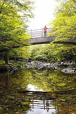 포토 JPG 주간 전신 나무 여자 여유 여행 휴식 한국 한명 서기 사람 동양인 20대 성인 야외 앞모습 제주도 계곡 트래킹 한국인 숲 상쾌 가교 여자만 여자한명만 성인여자만 청년만 청년여자만 성인한명만 청년여자한명만 성인여자한명만 성인만 국내포토 자연요소 식물 1 건축물 감정 아시아 뷰포인트 컨셉 모션 레저 인종 청년 파일형식