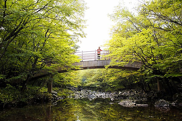 포토 JPG 주간 전신 나무 여자 여유 여행 휴식 한국 한명 서기 사람 동양인 20대 성인 야외 앞모습 제주도 계곡 트래킹 한국인 숲 상쾌 가교 여자만 여자한명만 성인여자만 청년만 청년여자만 성인한명만 청년여자한명만 성인여자한명만 성인만 국내포토 자연요소 식물 1 건축물 감정 아시아 뷰포인트 컨셉 모션 레저 인종 청년 파일형식
