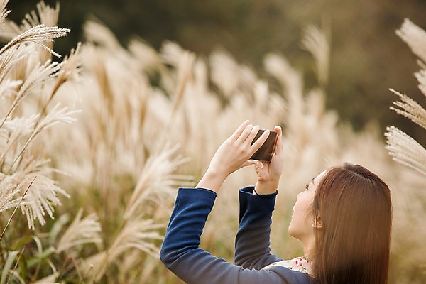 포토 JPG 주간 여자 여유 여행 휴식 한국 한명 서기 들기 사람 동양인 상반신 20대 성인 야외 옆모습 스마트폰 제주도 사진촬영 산책 한국인 억새 억새밭 여자만 여자한명만 성인여자만 청년만 청년여자만 성인한명만 청년여자한명만 성인여자한명만 성인만 국내포토 자연요소 식물 1 감정 아시아 뷰포인트 컨셉 모션 인종 청년 핸드폰 스마트기기 촬영 파일형식