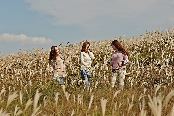 포토 JPG 주간 여자 여유 여행 휴식 한국 미소 사람 동양인 상반신 20대 성인 야외 옆모습 세명 친구 제주도 걷기 우정 산책 한국인 억새 억새밭 여자만 성인여자만 청년만 청년여자만 성인만 국내포토 자연요소 식물 감정 아시아 뷰포인트 컨셉 관계 모션 표정 인종 청년 파일형식