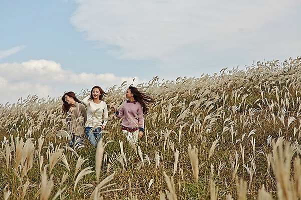 포토 JPG 주간 구름 여자 여유 여행 하늘 휴식 한국 서기 사람 동양인 상반신 20대 성인 야외 앞모습 세명 친구 제주도 우정 산책 한국인 억새 억새밭 여자만 성인여자만 청년만 청년여자만 성인만 국내포토 자연요소 식물 감정 아시아 뷰포인트 컨셉 관계 모션 인종 청년 파일형식