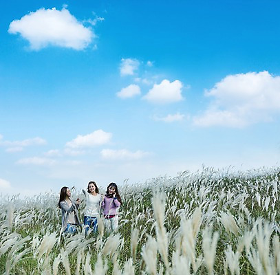 포토 JPG 주간 구름 여자 여유 여행 하늘 휴식 한국 서기 미소 사람 동양인 상반신 20대 성인 야외 앞모습 세명 친구 제주도 우정 산책 한국인 억새 억새밭 여자만 성인여자만 청년만 청년여자만 성인만 국내포토 자연요소 식물 감정 아시아 뷰포인트 컨셉 관계 모션 표정 인종 청년 파일형식