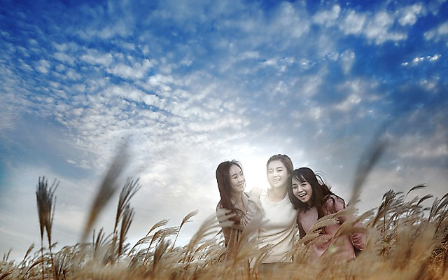포토 JPG 주간 구름 여자 여유 여행 하늘 휴식 한국 서기 미소 사람 동양인 상반신 20대 성인 야외 앞모습 세명 친구 제주도 우정 산책 한국인 억새 억새밭 여자만 성인여자만 청년만 청년여자만 성인만 국내포토 자연요소 식물 감정 아시아 뷰포인트 컨셉 관계 모션 표정 인종 청년 파일형식