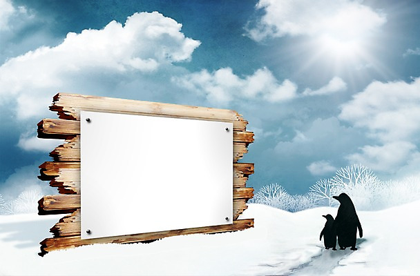 PSD 편집 편집이미지 계절 겨울 프레임 알림판 풍경 이벤트 사람없음 원근감 정보 눈 알림 펭귄 눈길 이미지편집 자연요소 길 뷰포인트 조류 날씨 눈_날씨 파일형식