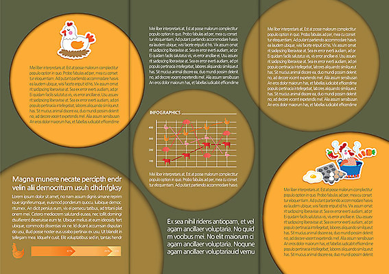 동물 템플릿 편집 표지디자인 북디자인 출판디자인 내지 리플렛 백그라운드 북커버 3단접지 조류 그래프 요리 팜플렛 사람없음 계란 치킨 가축 닭 냄비 계란프라이 이미지템플릿 AI파일 알 솥 계란요리 닭고기요리 파일형식 벡터