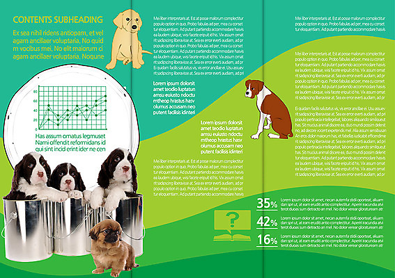 동물 템플릿 편집 표지디자인 북디자인 출판디자인 내지 리플렛 백그라운드 북커버 여러마리 3단접지 그래프 팜플렛 사람없음 책 반려동물 물음표 퍼센트 강아지 페인트통 반려 이미지템플릿 AI파일 기호 다수 통 페인트 특수기호 개 파일형식 벡터