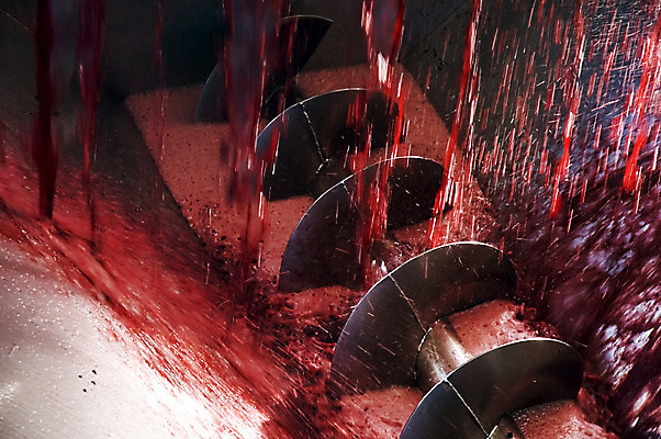 포토 JPG 해외이미지 식물 산업 곡선 공장 포도 실내 사람없음 내부 빨간색 금속 와인 기계 주스 흐름 나사 제조 만들기 정비공 기어 방법 양조장 철강 해외202004 해외포토 음료 선 컬러 컨셉 과일 공업 모션 재질 주류 공구 기술자 파일형식 이미지허브