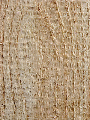 포토 JPG 해외이미지 백그라운드 패턴 부분 날씨 추상 사람없음 건물 목재 빛 울타리 갈색 나뭇가지 시골 소나무 거친 널 부식 질감 매듭 목공예 판 잡동사니 내추럴 명패 수목 옛날 해외202004 해외포토 나무 건축물 컬러 무늬 재료 담장 공예 파일형식 이미지허브