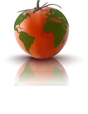 EPS 해외이미지 식물 디자인 계절 유럽 지구 음식 바다 과학 백그라운드 컨셉 잎 지도 다이어트 토마토 채소 일러스트 재료 공 자연 추상 건강 목재 그래픽 빨간색 초록색 물 세계 글로벌 지구본 주방 미국 젖음 흰색 신선 그룹 작음 먹기 유기농 내추럴 고립 숙성 해외202004 해외일러스트 자연요소 나무 웰빙 나라 컬러 북아메리카 무늬 모션 크기 생태계 파일형식 벡터 이미지허브