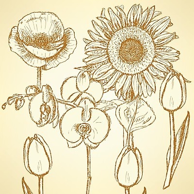 EPS 해외이미지 식물 손 디자인 꽃잎 꽃 선 꽃다발 백그라운드 잎 꽃무늬 패턴 일러스트 자연 벽지 해바라기 잉크 그래픽 여름 컬러풀 정원 페인트 봄 수확 성장 벚꽃 축하 화려 그리기 난초 우아함 스케치 타일 그림 복고 양귀비 그런지 엘리먼트 현실 해외202004 해외일러스트 계절 컬러 컨셉 무늬 농업 모션 미술 신체부위 생태계 파일형식 벡터 이미지허브