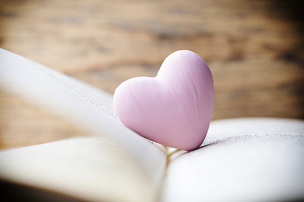 포토 JPG 해외이미지 백그라운드 사랑 근접촬영 사람없음 아웃포커스 장식 하트 마음 소프트포커스 오브젝트 해외202004 해외포토 모양 감정 뷰포인트 촬영기법 파일형식 이미지허브