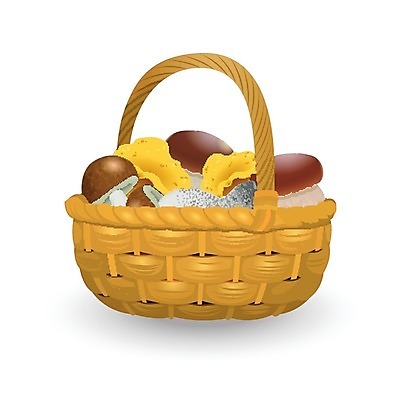 EPS 해외이미지 식물 계절 음식 백그라운드 채소 일러스트 재료 자연 건강 요리 미술 그래픽 세트 바구니 버섯 수확 가을 흰색 신선 그룹 맛 숲 스케치 수집 오브젝트 메뉴 그림 날것 윤곽 내추럴 고립 곰팡이 그물버섯 식용 엘리먼트 채식주의자 캡모자 해외202004 해외일러스트 모자_잡화 컬러 컨셉 농업 문화예술 생태계 채식 파일형식 벡터 이미지허브