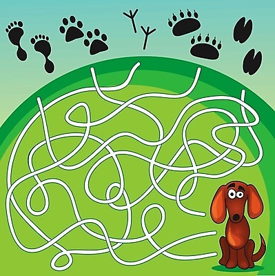 EPS 해외이미지 동물 구름 길 음식 여행 컨셉 일러스트 놀이 하늘 휴식 뼈 고양이 도전 스패니얼 게임 대접 구멍 퍼즐 그룹 개 잡지 쥐 인쇄 큼 만화 방향 심볼 검색 트랙 먼지 페이지 지하 미로 해결 발견 고립 깊이 땅파기 방법 쉬운 해외202004 해외일러스트 자연요소 포유류 간행물 반려동물 설치류 크기 파일형식 벡터 이미지허브