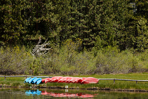 포토 JPG 해외이미지 나무 계절 공원 호수 자연 하늘 휴가 산 풍경 사람없음 야외 초록색 물 여름 파란색 평화 맑음 미국 소나무 황무지 숲 댐 그림 산등성이 캘리포니아 대야 멀리 뱃놀이 서쪽 전국 해외202004 해외포토 자연요소 식물 공공시설 컬러 컨셉 북아메리카 배_교통 날씨 전통놀이 방향 생태계 파일형식 이미지허브