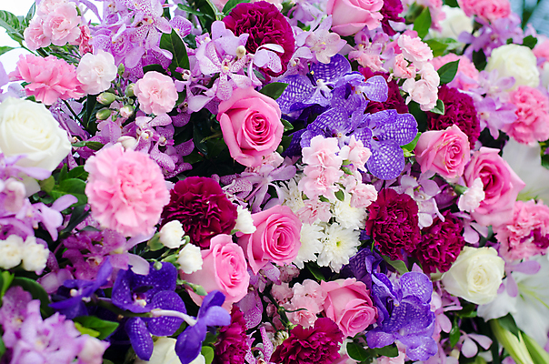 포토 JPG 해외이미지 전통 꽃잎 꽃 분홍색 꽃다발 결혼 꽃무늬 자연 사랑 사람없음 장식 컬러풀 장미 노란색 보라색 흰색 축하 난초 우아함 배열 강렬 접수 해외202004 해외포토 식물 감정 컬러 컨셉 무늬 이벤트 생태계 파일형식 이미지허브