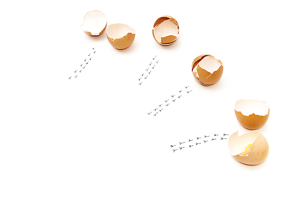 포토 JPG 해외이미지 음식 백그라운드 자연 건강 사람없음 갈색 계란 공백 흰색 발자국 묘사 유기농 부화 추적 고립 깨짐 단백질 생식 취급주의 해외202004 해외포토 웰빙 컬러 컨셉 자국 모션 경고 알 생태계 영양소 파일형식 이미지허브