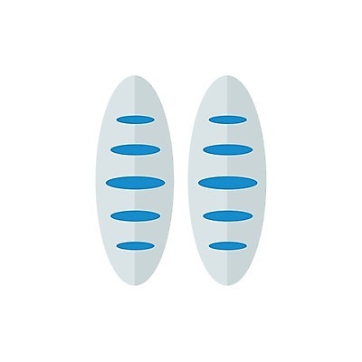 EPS 해외이미지 일러스트 갈색 식사 껍질 흰색 아침식사 밀 오브젝트 유기농 덩어리 프랑스어 고립 번 해외202004 해외일러스트 문자 웰빙 빵 컬러 곡류 파일형식 벡터 이미지허브