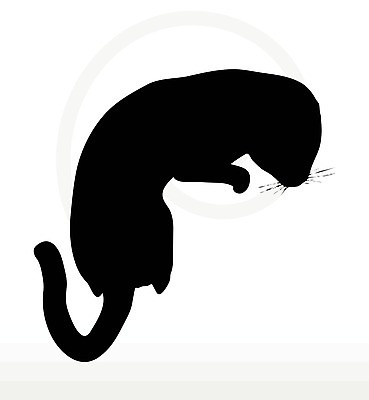 EPS 해외이미지 모양 동물 실루엣 포즈 일러스트 포유류 자연 그림자 사람없음 그래픽 반려동물 검은색 고양이 호랑이 사자 스케치 흰배경 윤곽 표범 고립 엘리먼트 재규어 스라소니 해외202004 해외일러스트 컬러 백그라운드 촬영기법 미술 흰색 생태계 파일형식 벡터 이미지허브