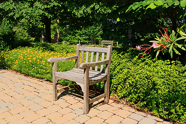 포토 JPG 해외이미지 식물 계절 공원 꽃잎 꽃 꽃무늬 전구 자연 새로움 주택 사람없음 야외 초록색 컬러풀 노란색 평화 정원 맑음 봄 활발 성장 흰색 시골 개화 저지 특별함 해외202004 해외포토 공공시설 컬러 컨셉 무늬 날씨 건물 생태계 파일형식 이미지허브