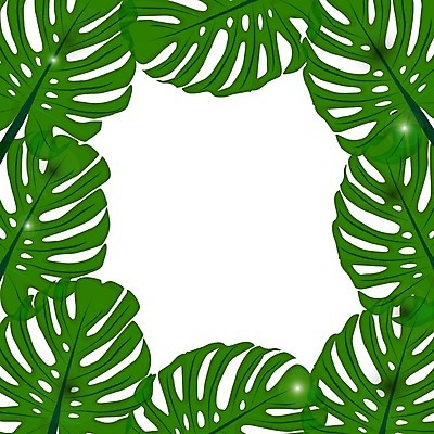 EPS 해외이미지 나무 식물 템플릿 디자인 실루엣 백그라운드 컨셉 잎 꽃무늬 일러스트 텍스트 자연 손바닥 야외 장식 초록색 여름 정원 봄 줄무늬 흰색 신선 플랫 숲 큼 허브 묘사 오브젝트 에코 유기농 질감 생물학 하와이 엽서 내추럴 고립 무료 이국적 해외202004 해외일러스트 손 웰빙 계절 교육 꽃 컬러 무늬 촬영기법 환경 미국 크기 편지 생태계 파일형식 벡터 이미지허브