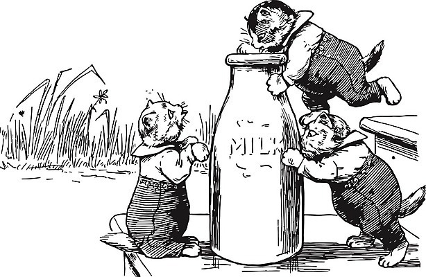 EPS 해외이미지 캐릭터 새끼 일러스트 세마리 사람없음 검은색 고양이 우유 올려보기 잡기 우유병 라인아트 그림 밟기 판화 해외202004 해외일러스트 일러캐릭터 동물 선 컬러 포유류 모션 병_용기 유제품 3 미술 반려동물 파일형식 벡터 이미지허브