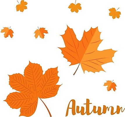 EPS 해외이미지 나무 식물 디자인 계절 단풍 잎 꽃무늬 오렌지 일러스트 자연 갈색 노란색 가을 흰색 플랫 9월 오브젝트 에코 10월 내추럴 떠남 엘리먼트 해외202004 해외일러스트 꽃 컬러 무늬 과일 모션 환경 날짜 생태계 파일형식 벡터 이미지허브